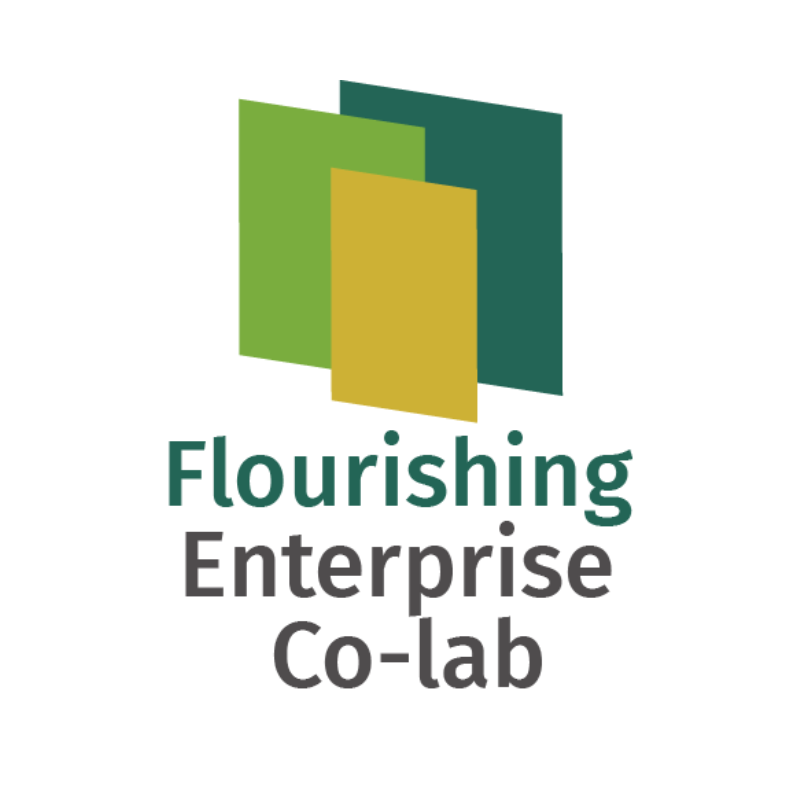 Flourishing Enterprise Co-Lab