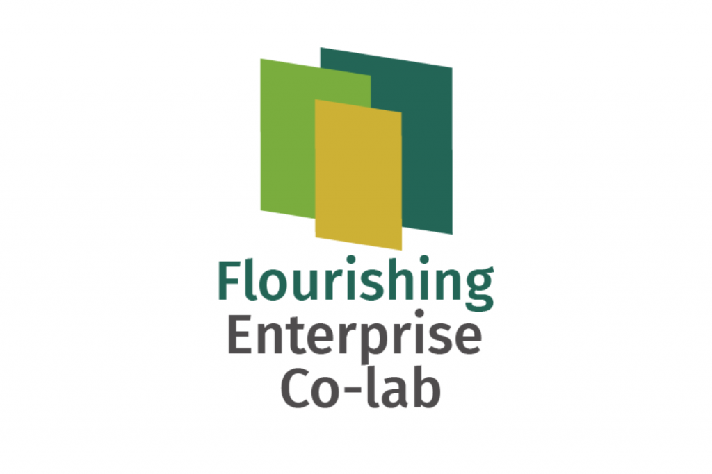 Flourishing Enterprise Co-Lab
